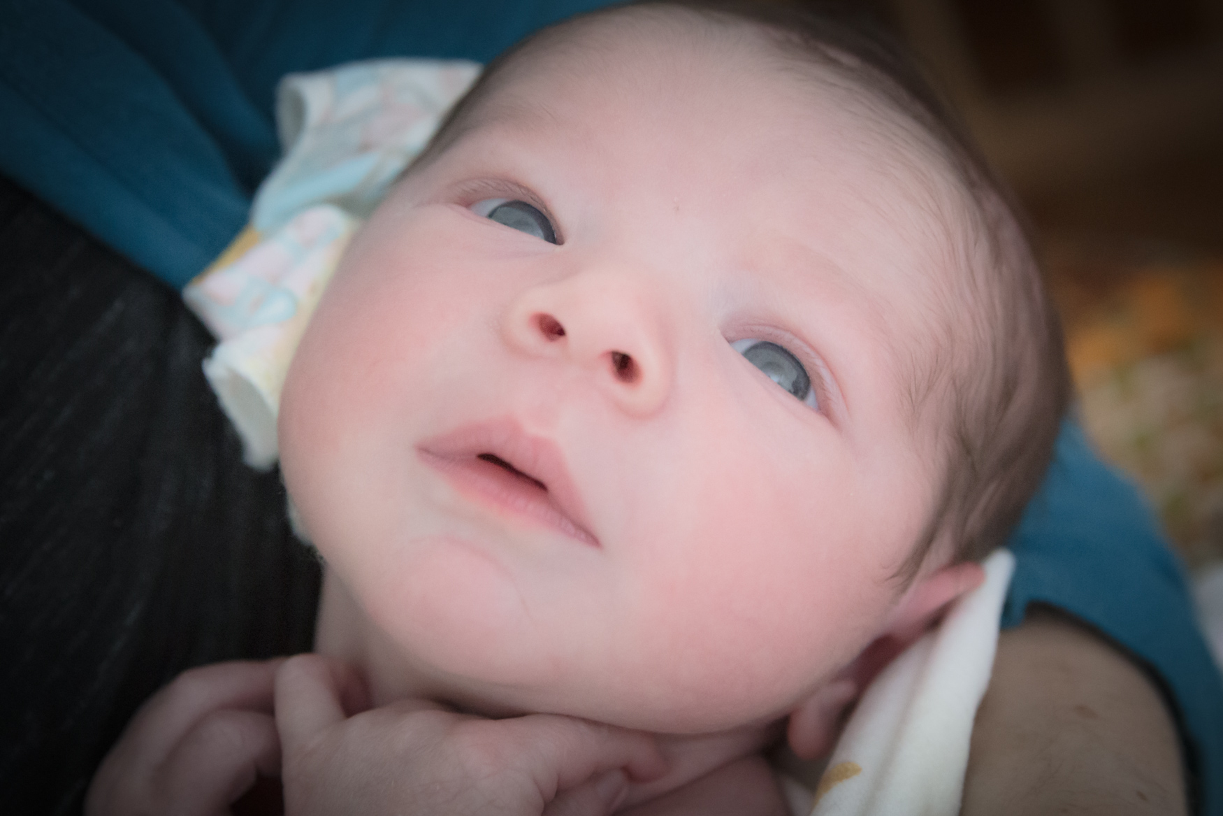 Ulysse au pays des merveilles